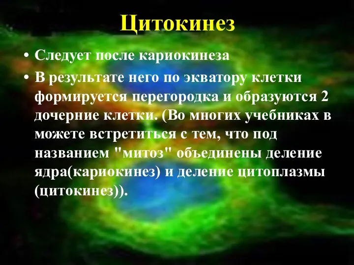 Цитокинез Следует после кариокинеза В результате него по экватору клетки формируется