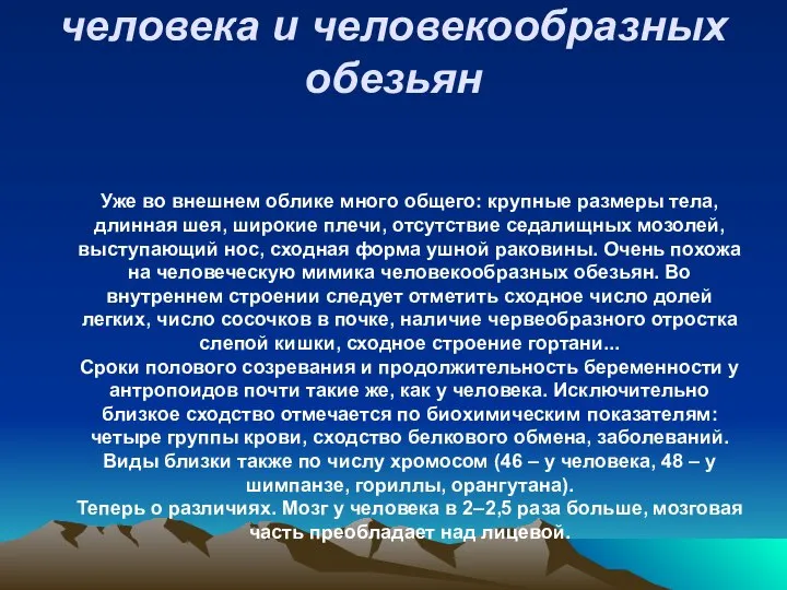 Уже во внешнем облике много общего: крупные размеры тела, длинная шея,