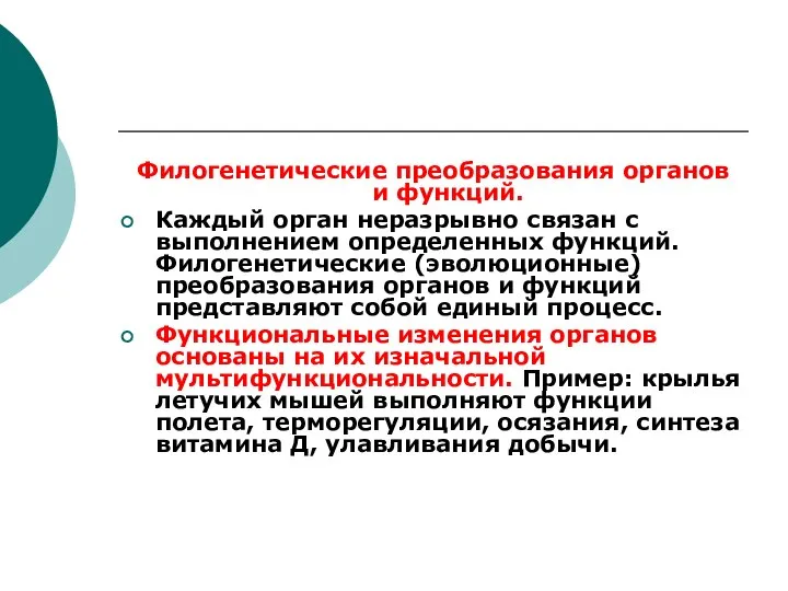 Филогенетические преобразования органов и функций. Каждый орган неразрывно связан с выполнением