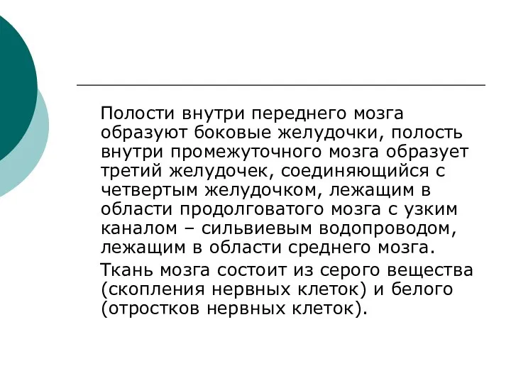 Полости внутри переднего мозга образуют боковые желудочки, полость внутри промежуточного мозга