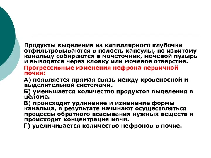 Продукты выделения из капиллярного клубочка отфильтровываются в полость капсулы, по извитому