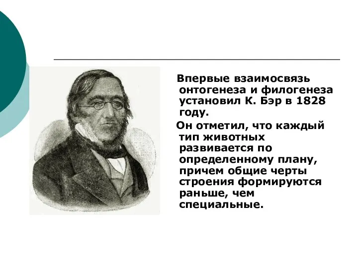 Впервые взаимосвязь онтогенеза и филогенеза установил К. Бэр в 1828 году.