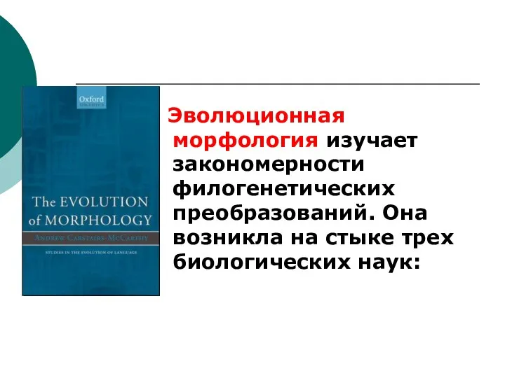 Эволюционная морфология изучает закономерности филогенетических преобразований. Она возникла на стыке трех биологических наук: