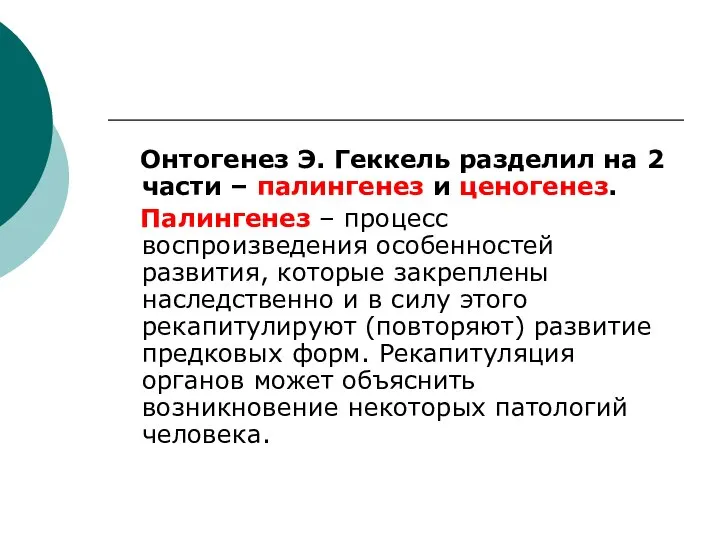 Онтогенез Э. Геккель разделил на 2 части – палингенез и ценогенез.