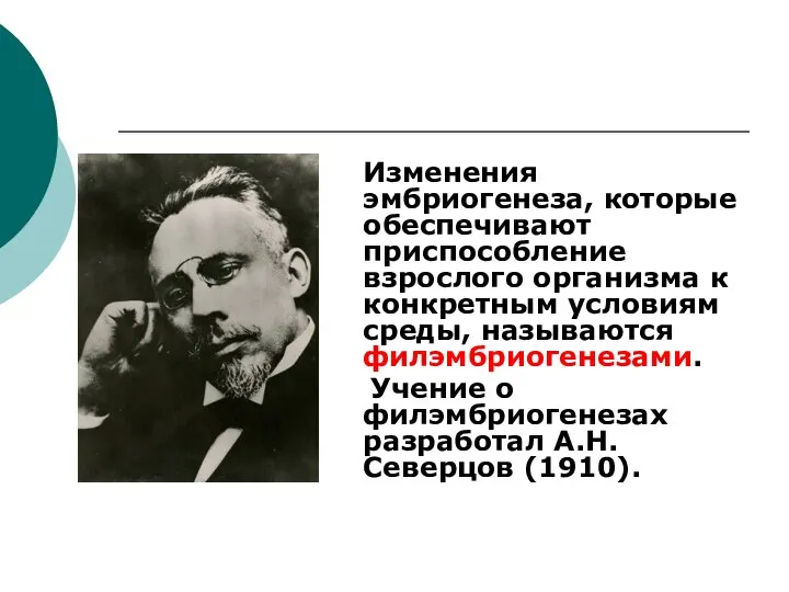 Изменения эмбриогенеза, которые обеспечивают приспособление взрослого организма к конкретным условиям среды,