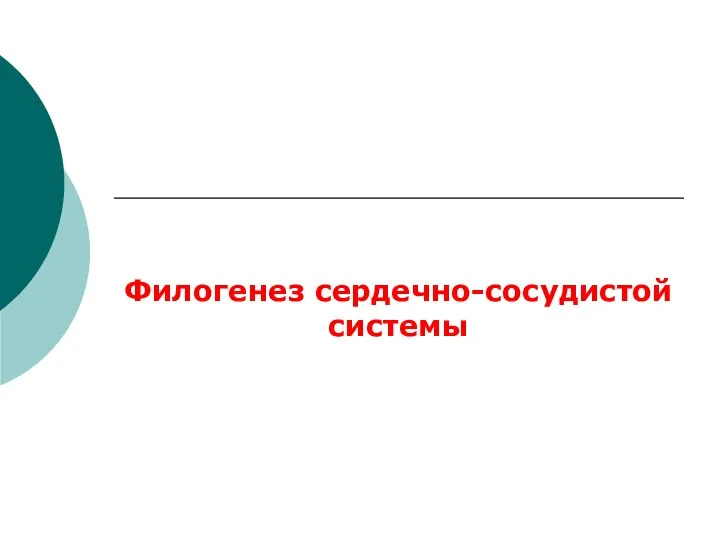 Филогенез сердечно-сосудистой системы