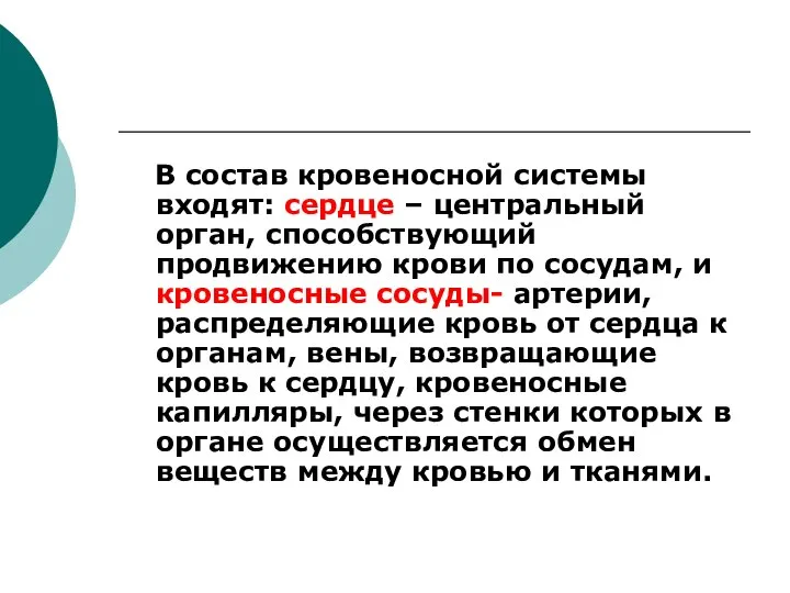 В состав кровеносной системы входят: сердце – центральный орган, способствующий продвижению