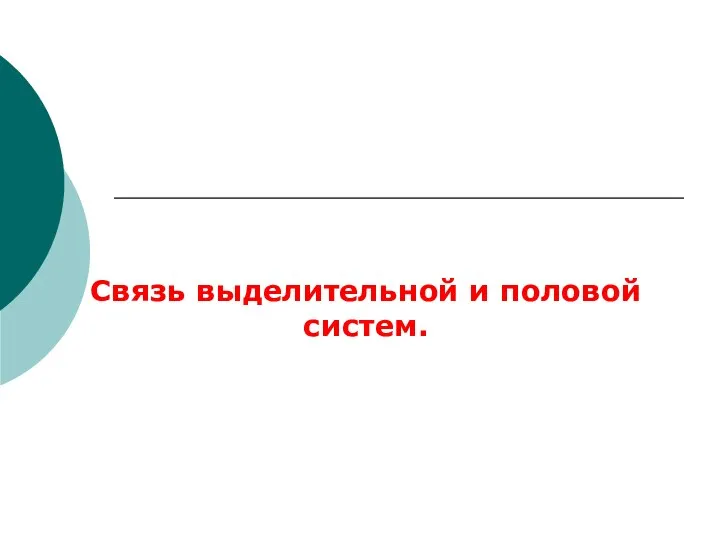 Связь выделительной и половой систем.