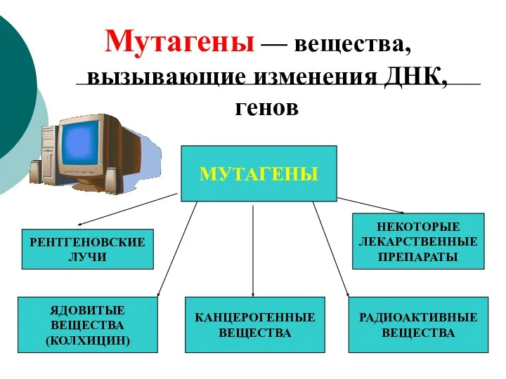 Мутагены — вещества, вызывающие изменения ДНК, генов МУТАГЕНЫ РЕНТГЕНОВСКИЕ ЛУЧИ ЯДОВИТЫЕ