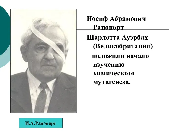 Иосиф Абрамович Рапопорт Шарлотта Ауэрбах (Великобритания) положили начало изучению химического мутагенеза. И.А.Рапопорт