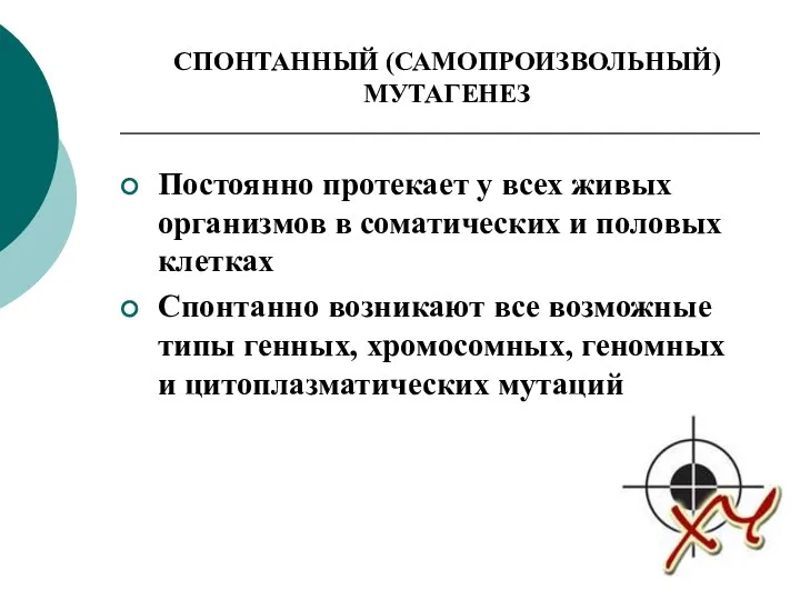 Постоянно протекает у всех живых организмов в соматических и половых клетках