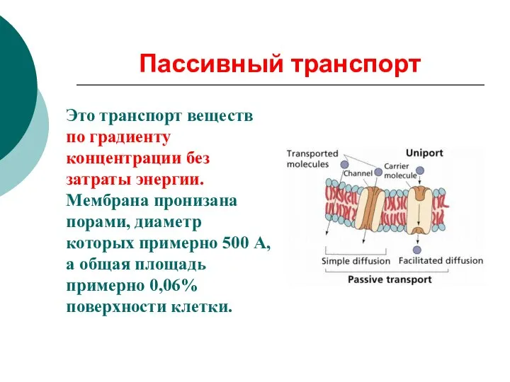 Пассивный транспорт Это транспорт веществ по градиенту концентрации без затраты энергии.