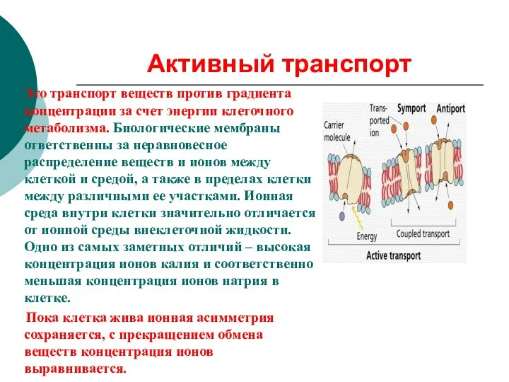 Активный транспорт Это транспорт веществ против градиента концентрации за счет энергии