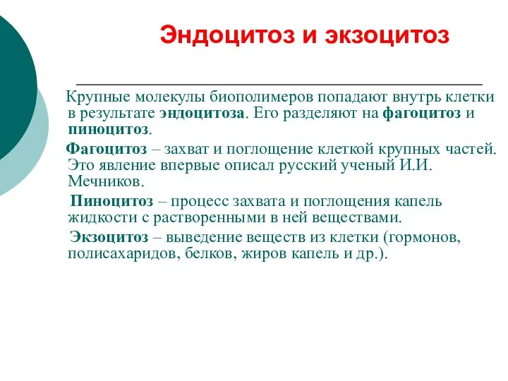 Эндоцитоз и экзоцитоз Крупные молекулы биополимеров попадают внутрь клетки в результате