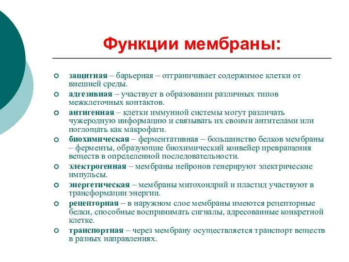 Функции мембраны: защитная – барьерная – отграничивает содержимое клетки от внешней