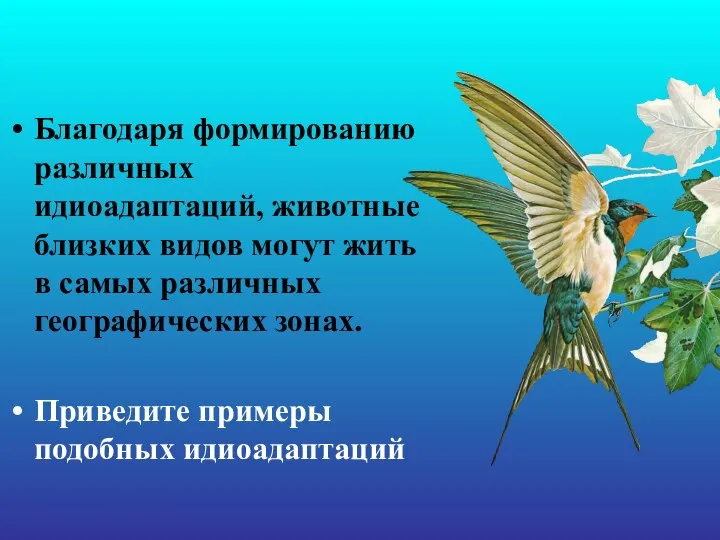 Благодаря формированию различных идиоадаптаций, животные близких видов могут жить в самых