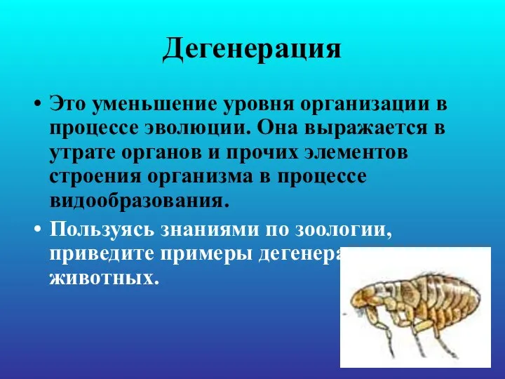 Дегенерация Это уменьшение уровня организации в процессе эволюции. Она выражается в