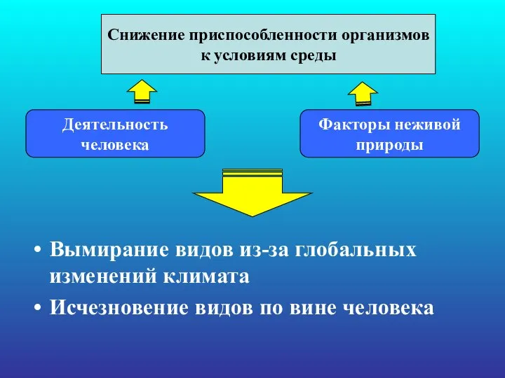 Вымирание видов из-за глобальных изменений климата Исчезновение видов по вине человека