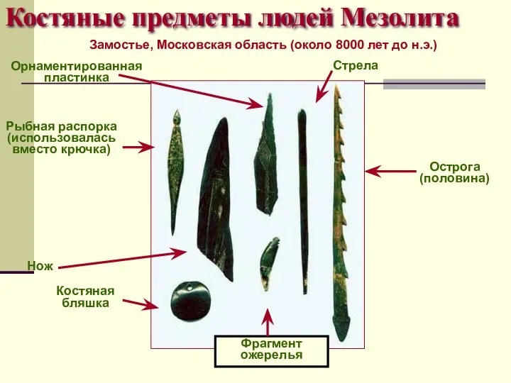 Костяные предметы людей Мезолита Замостье, Московская область (около 8000 лет до