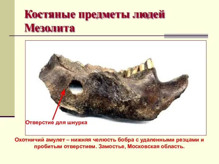 Костяные предметы людей Мезолита Охотничий амулет – нижняя челюсть бобра с