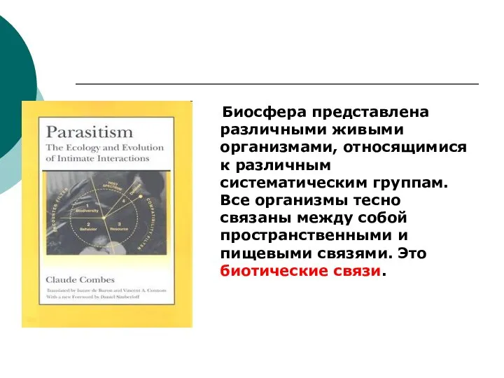 Биосфера представлена различными живыми организмами, относящимися к различным систематическим группам. Все