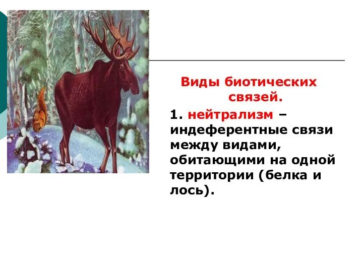 Виды биотических связей. 1. нейтрализм – индеферентные связи между видами, обитающими