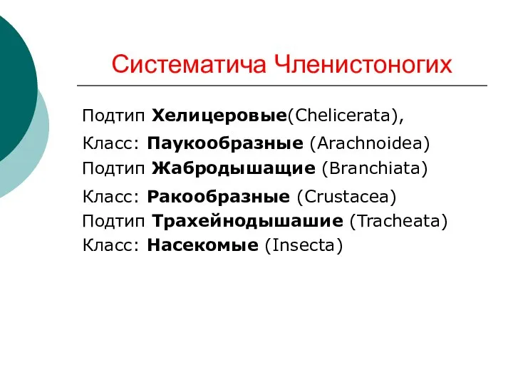 Систематича Членистоногих Подтип Хелицеровые(Chelicerata), Класс: Паукообразные (Arachnoidea) Подтип Жабродышащие (Branchiata) Класс: