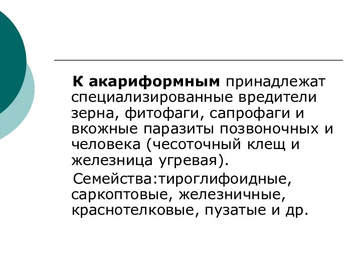 К акариформным принадлежат специализированные вредители зерна, фитофаги, сапрофаги и вкожные паразиты