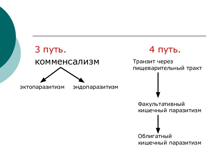 3 путь. 4 путь. комменсализм эктопаразитизм эндопаразитизм Транзит через пищеварительный тракт
