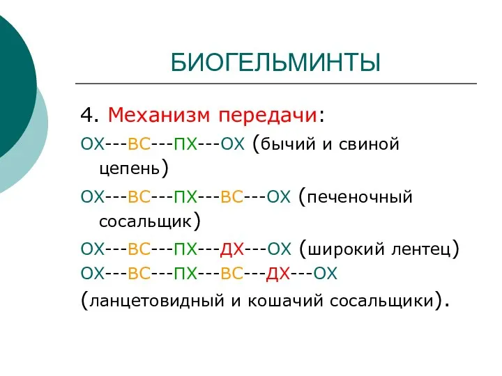 БИОГЕЛЬМИНТЫ 4. Механизм передачи: ОХ---ВС---ПХ---ОХ (бычий и свиной цепень) ОХ---ВС---ПХ---ВС---ОХ (печеночный