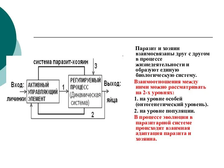 Паразит и хозяин взаимосвязаны друг с другом в процессе жизнедеятельности и