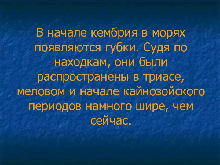 В начале кембрия в морях появляются губки. Судя по находкам, они