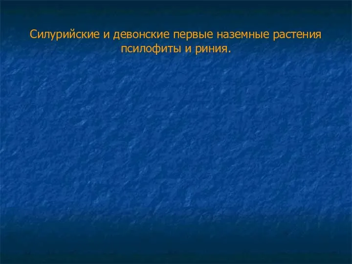 Силурийские и девонские первые наземные растения псилофиты и риния.