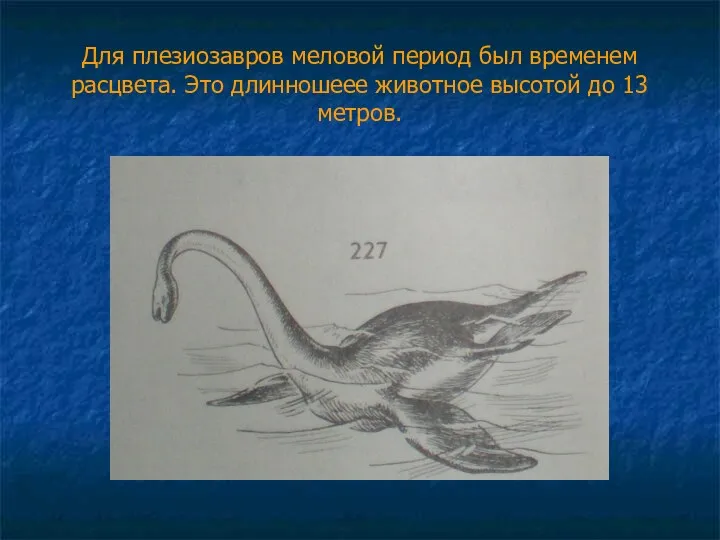 Для плезиозавров меловой период был временем расцвета. Это длинношеее животное высотой до 13 метров.