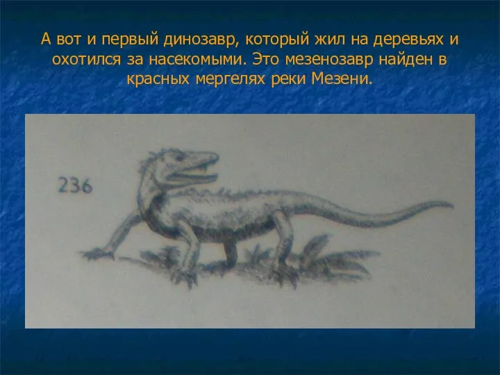 А вот и первый динозавр, который жил на деревьях и охотился