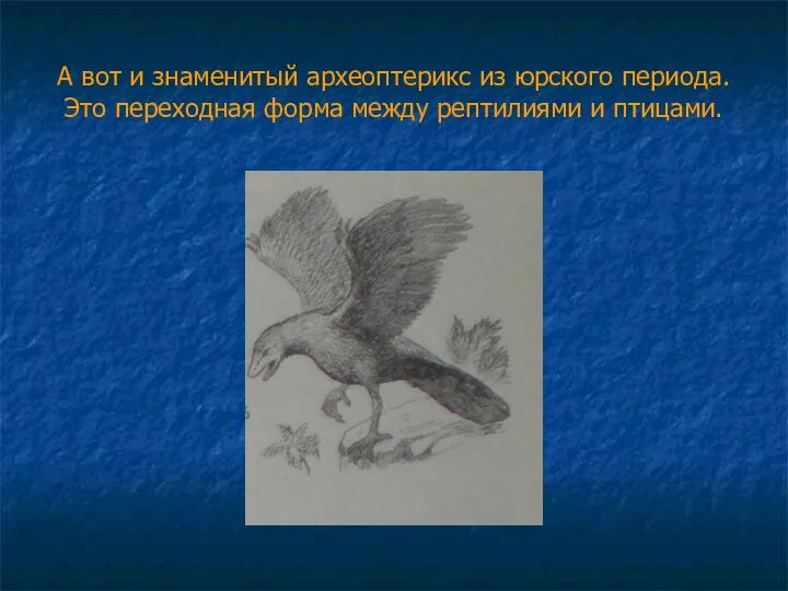 А вот и знаменитый археоптерикс из юрского периода. Это переходная форма между рептилиями и птицами.