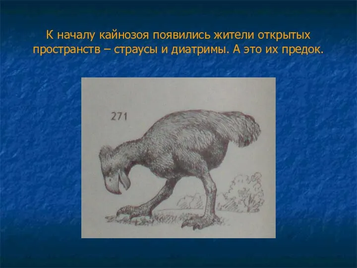 К началу кайнозоя появились жители открытых пространств – страусы и диатримы. А это их предок.