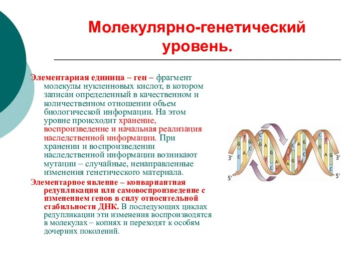 Молекулярно-генетический уровень. Элементарная единица – ген – фрагмент молекулы нуклеиновых кислот,