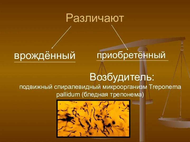 Различают врождённый приобретённый Возбудитель: подвижный спиралевидный микроорганизм Treponema pallidum (бледная трепонема)