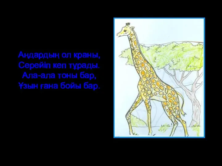 Аңдардың ол краны, Серейіп кеп тұрады. Ала-ала тоны бар, Ұзын ғана бойы бар.