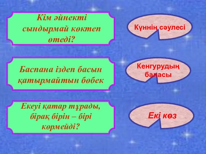 Кім әйнекті сындырмай көктеп өтеді? Күннің сәулесі Баспана іздеп басын қатырмайтын