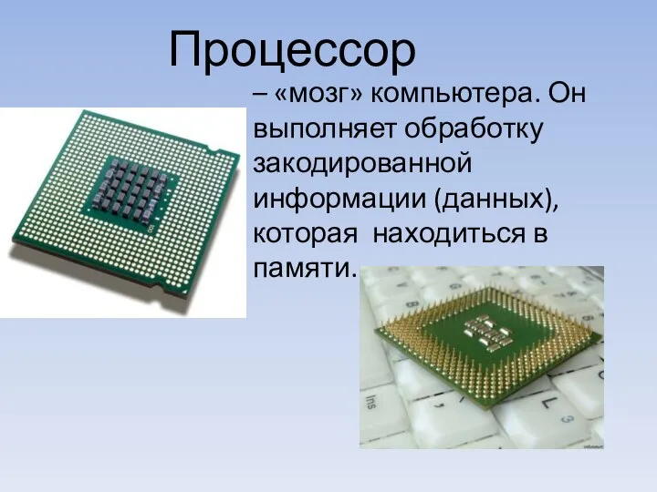 – «мозг» компьютера. Он выполняет обработку закодированной информации (данных), которая находиться в памяти. Процессор