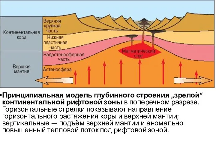 Принципиальная модель глубинного строения „зрелой“ континентальной рифтовой зоны в поперечном разрезе.