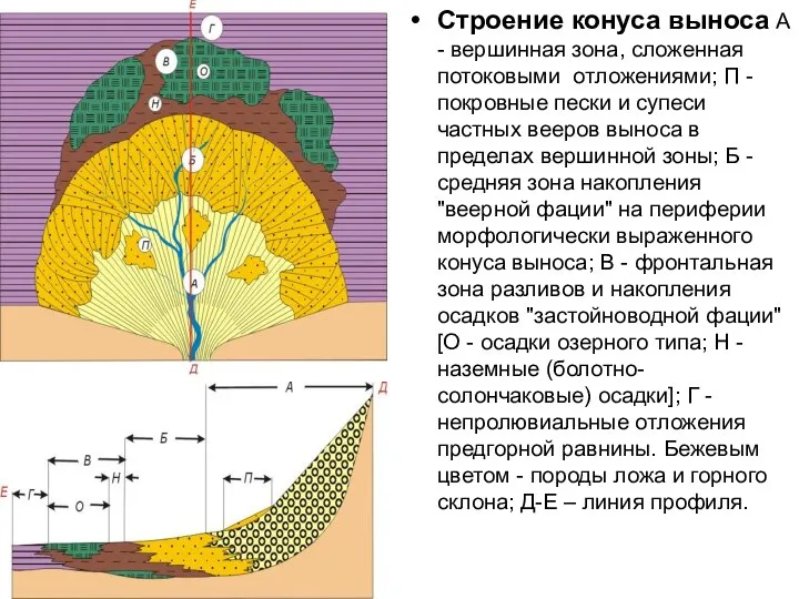 Строение конуса выноса А - вершинная зона, сложенная потоковыми отложениями; П