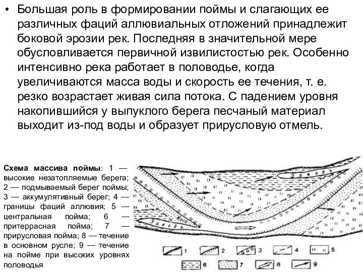 Большая роль в формировании поймы и слагающих ее различных фаций аллювиальных