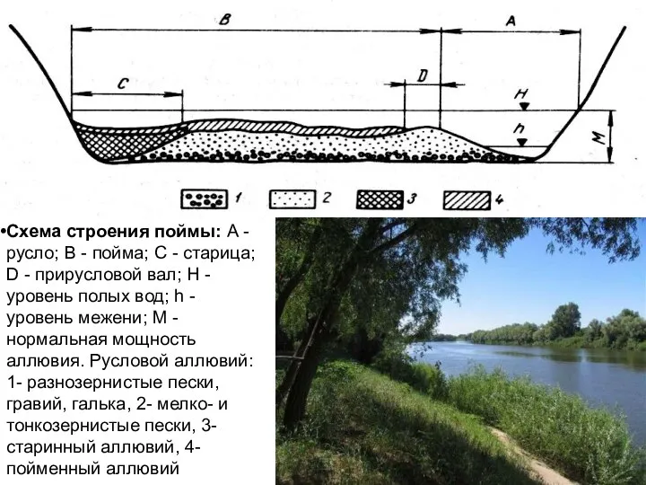 Схема строения поймы: А - русло; В - пойма; С -