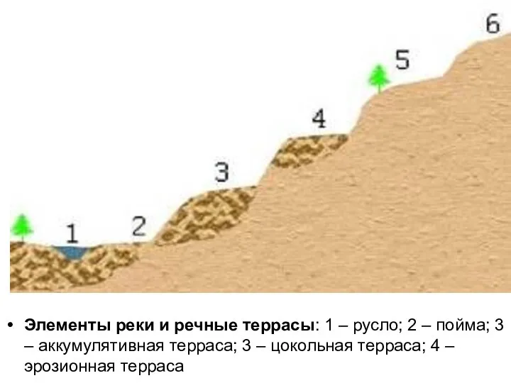 Элементы реки и речные террасы: 1 – русло; 2 – пойма;