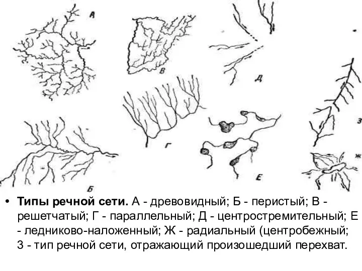 Типы речной сети. А - древовидный; Б - перистый; В -