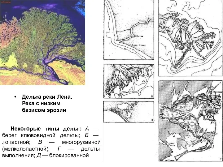 Дельта реки Лена. Река с низким базисом эрозии Некоторые типы дельт: