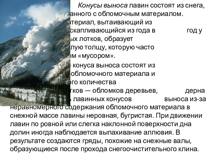 Конусы выноса лавин состоят из снега, перемешанного с обломочным материалом. Обломочный